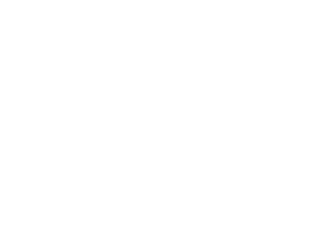 pm infotech logo white